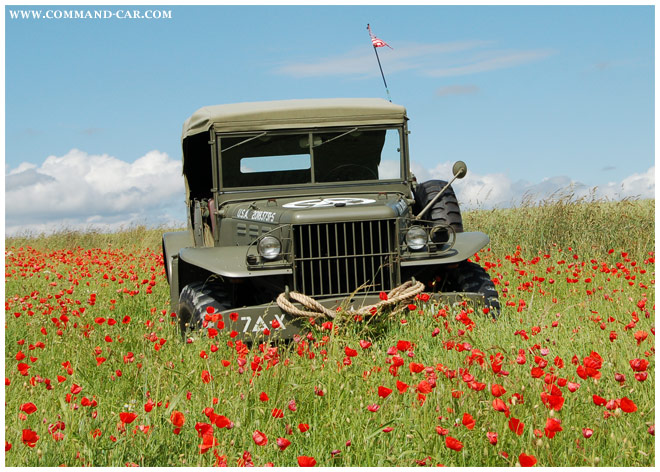 Playing in the field